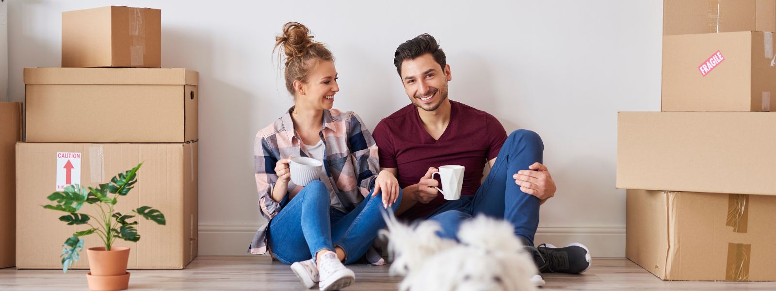 Young couple surrounded by moving boxes reviewing rental documents on a laptop, symbolizing protection against moving scams and identity theft.